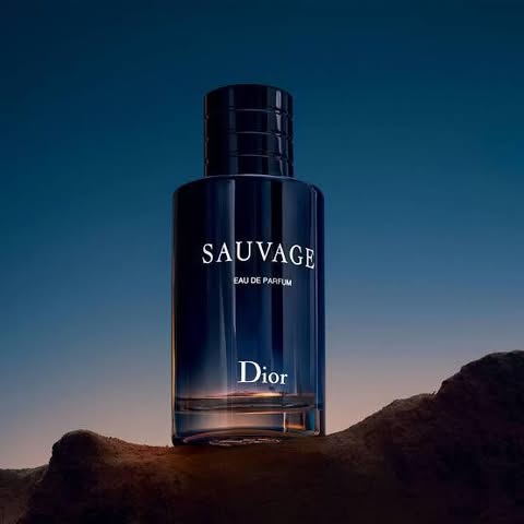 SAUVAGE DIOR Master Copy